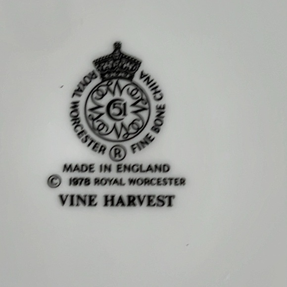 Royal Worcester Vine Harvest Bone China 11” Cake or Cheese Platter - NIB - Picture 4 of 10